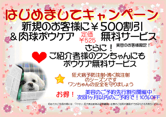 ★新規のお客様、500円割引&肉球ポウケア(525円相当)無料サービス!