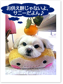 そっくりさん、大集合